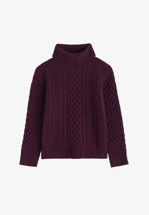 Pull à col roulé en tricot torsadé de couleur violet profond. Présente des motifs texturés, des poignets et un ourlet côtelés. Confectionné dans un matériau en tricot confortable.