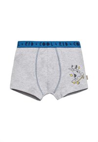 Bóxer gris con una cinturilla azul que lleva el texto "KID COOL". Diseño impreso de un perro haciendo skate. Tela suave, corte estándar.