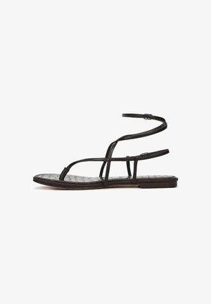 Sam Edelman, CLARRA STRAPPY - Infradito - cafe noir