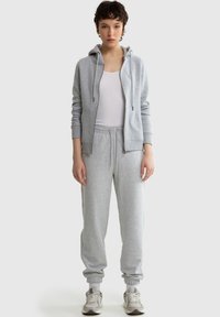 Big Star LAURISANA - Lukuga pusa - grau