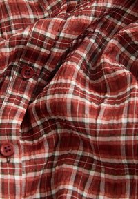 REGULAR FIT - LONG SLEEVE - Bluza s gumbima - red check