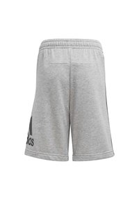Pantalones cortos deportivos grises con cintura elástica. Cuenta con dos bolsillos traseros y un logo negro de Adidas en la pierna izquierda. Textura suave.