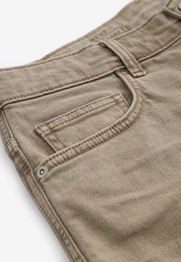 Next REGULAR FIT - Kratke hlače - dark stone