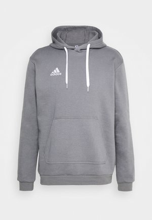 ENTRADA 22 SWEAT - Hoodie - team grey four