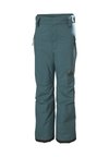 LEGENDARY PANT UNISEX - Schneehose - dark creek