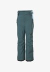 LEGENDARY PANT UNISEX - Nohavice do snehu - dark creek