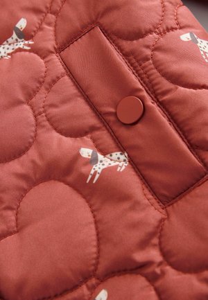 Next REGULAR FIT - SHOWER RESISTANT HEART - Manteau d'hiver - rust red