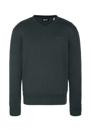 PLBEAL - Strickpullover - vert foncé