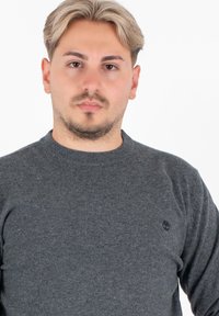 Pullover grigio carboncino a girocollo realizzato in tessuto morbido, con un sottile logo nella zona sinistra del petto e colletto e polsini a coste.