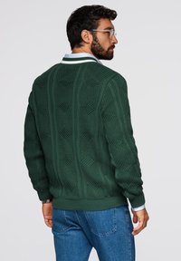Maglione lavorato a maglia verde scuro con motivi a texture, scollo rotondo e polsini a coste. Abbinato a una camicia azzurro chiaro e jeans in denim.