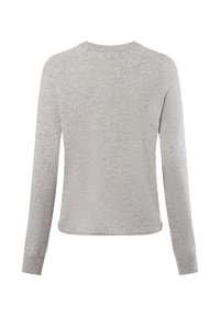 Grauer Langarmpullover mit weichem Textil, gerippten Bündchen und Rundhalsausschnitt; schlichte, unauffällige Rückendesign.