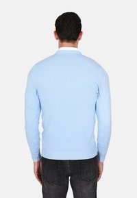 Maglione azzurro chiaro con maniche lunghe e scollatura rotonda, caratterizzato da un bordo a coste in vita e ai polsi. Indossato sopra jeans di denim scuri.