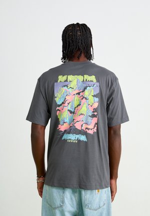 Szara bawełniana koszulka z krótkim rękawem, z kolorową grafiką gór na plecach, z napisem "The North Face Expedition Series" poniżej. Luźny krój.