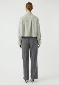 Afdæmpet, lysegrøn stribet skjorte med lange ærmer, parret med grå skræddersyede bukser og spidse sorte sko. Ensfarvet baggrund.