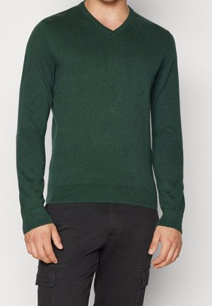 Homme portant un pull à col en V vert foncé à manches longues et un pantalon cargo noir, debout devant un fond clair uni.