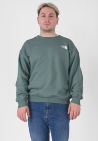 Felpa verde con scollatura a girocollo, vestibilità comoda e polsini a costine, con un piccolo logo bianco sul lato sinistro del petto. Indossata con jeans blu.