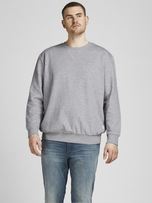 Sweatshirt en molleton gris avec un col rond pour un ajustement classique, des poignets et une taille côtelés. Le tissu semble doux avec une texture subtile.