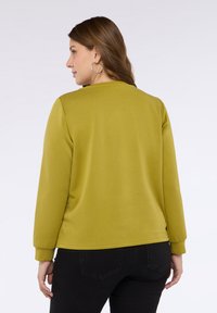 Zelený svetr s dlouhými rukávy, kulatým výstřihem a elastickými manžetami. Měkká textura, jednoduchý design a zobrazený pohled zezadu.