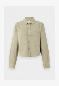 Δεν επιλέχθηκε, aloe