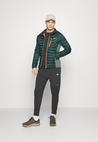 Jack Wolfskin ROUTEBURN PRO  - Giacca invernale - black olive