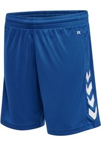 Blaue Sportshorts aus glattem Stoff, ausgestattet mit einem dehnbaren Bund und weißen Chevron-Akzenten an der Seite.
