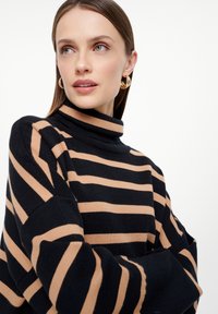 Zwart en beige gestreepte turtleneck trui van een zachte gebreide stof, voorzien van een hoge kraag en brede mouwen, gepositioneerd op een neutrale achtergrond.