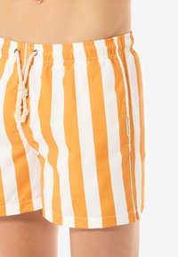 Orange-weiße gestreifte Badehose mit Kordelzug, ausgestattet mit einer glatten Textur und Seitennähten, die mit einem kleinen Etikett versehen sind.