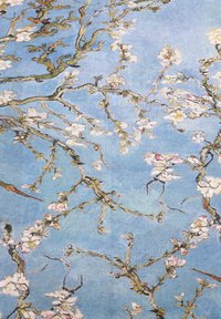 Rami di albero di mandorlo con fiori bianchi su uno sfondo azzurro chiaro, caratterizzati da pennellate testurizzate e corteccia marrone scuro.