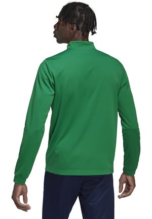 ENTRADA 22 TRAINING - Sweatshirt - gruenweiss