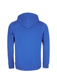 Felpa blu con una texture morbida, maniche lunghe e un cappuccio ampio. Design semplice con polsini e orlo a coste.