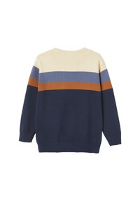 Pullover mit horizontalen Farbstreifen in Creme, Blau, Rost und Marine, lange Ärmel, gerippte Bündchen und Saum, von hinten gezeigt.