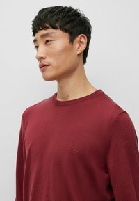 BOSS BOTTO - Maglione - dark red two