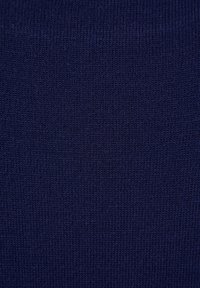 COLOR BLOCKED  - Pulover - navy blue
