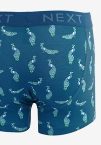 Next 4 PACK - Boxer alsónadrág - blue mixed birds