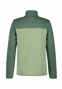 Fleece jack met een bicolore ontwerp in donker- en lichtgroen, afgewerkt met een hoge kraag en textuurstof. De achterkant toont een naadloze constructie.