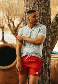 Frank Dandy BAMBOO TEE  - T-Shirt basic - grey melange