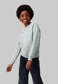 Calvin Klein Jeans LOGO REGULAR UNISEX - Sweater - jadeite