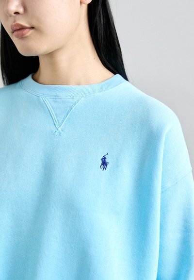 Felpa azzurra chiara in morbido cotone. Presenta un colletto girocollo e un piccolo logo ricamato viola sulla parte sinistra del petto. Tessuto testurizzato.