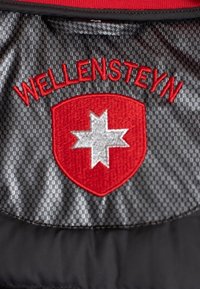 Wellensteyn Giacca invernale - metallic black