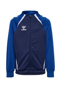 Unselected, marine true blue