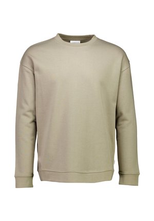 Beige sweatshirt met een ronde hals, lange mouwen en geribde boorden. Gemaakt van zachte stof, met een strak ontwerp zonder patronen.