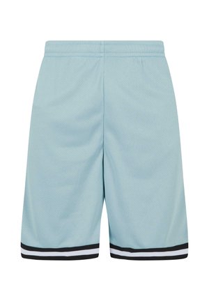 Ljusblå mesh träningsshorts med elastisk midja och svartvitt randigt avslut vid fållen. Mjuk textur och andningsbart material.