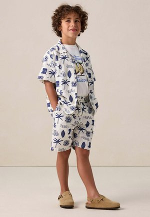 Chemise blanche à manches courtes et shorts avec des imprimés tropicaux bleus. T-shirt blanc avec un graphique. Chaussures marron à enfiler. Tenue d'été décontractée.