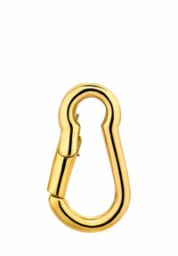 Mosquetón de metal color dorado con forma redondeada, que presenta un mecanismo de bloqueo de resorte y una superficie lisa y reflectante.