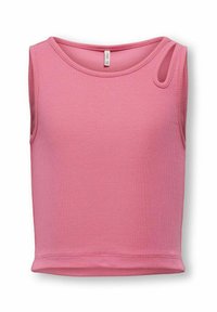 Sélectionné, camellia rose