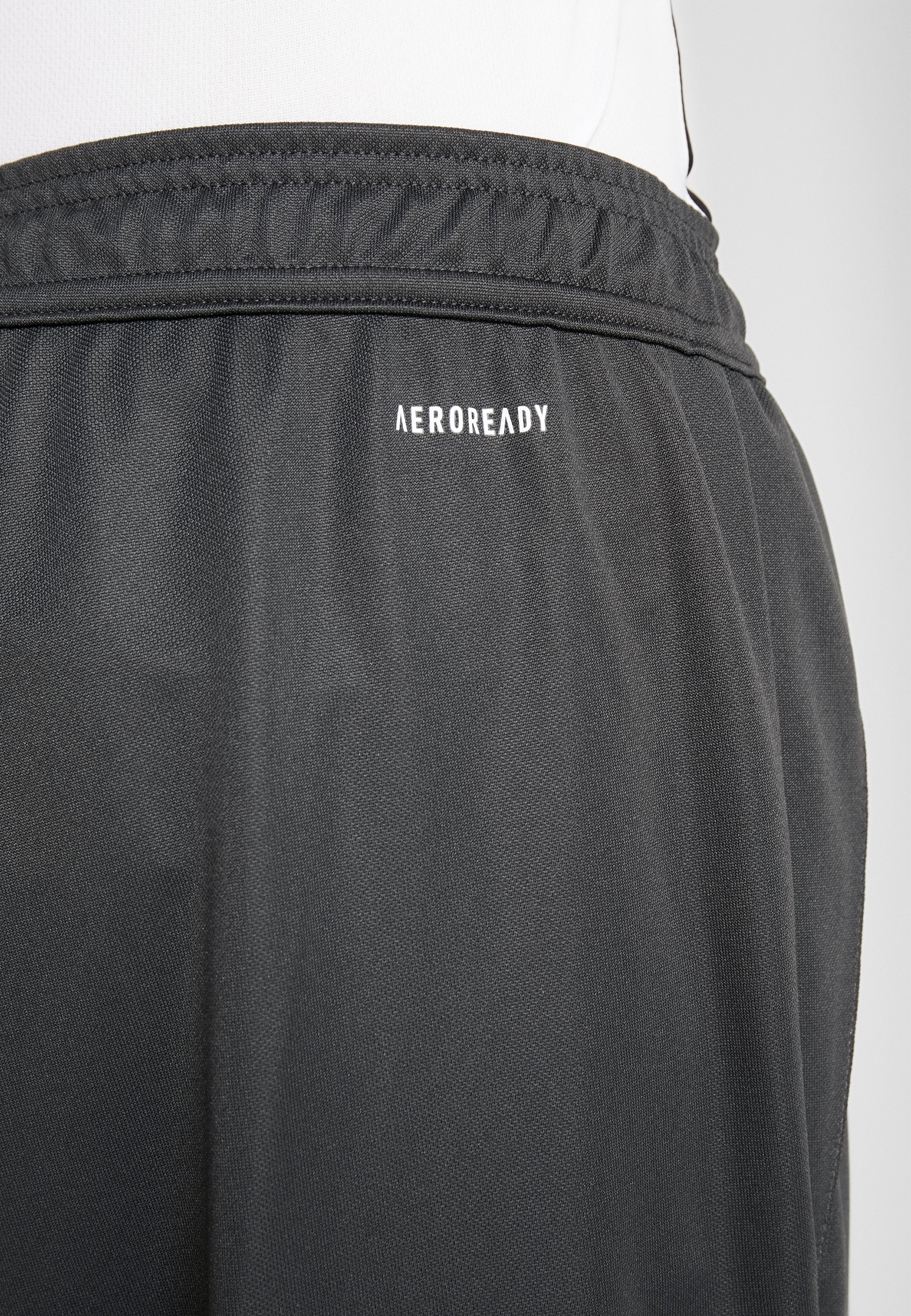 Men DEUTSCHLAND DFB TRAINING PANT - National team wear Men DEUTSCHLAND DFB TRAINING PANT - National team wear