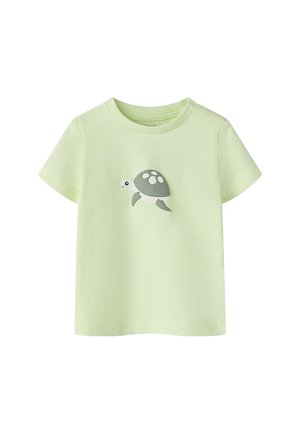 Camiseta de manga corta para niño pequeño en verde claro con un pequeño dibujo de una tortuga gris y blanca centrado en el frente.