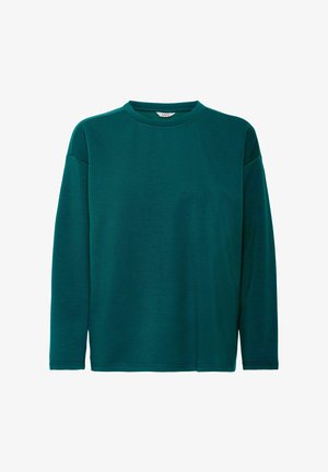 Türkiise pika varrukaga särk ümarate kaelustega. Valmistatud pehmest kangast, mugava lõikega ja minimaalse õmblusdetailidega. Ilma mustrite või aktsentideta.