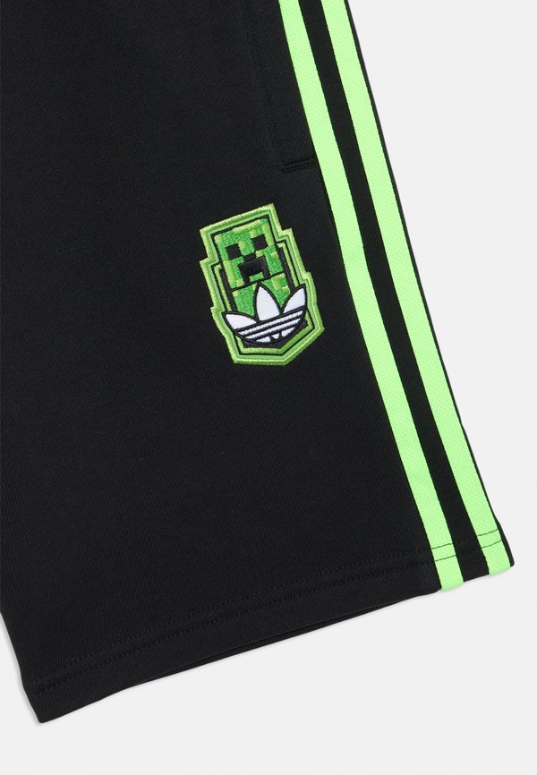 MINECRAFT UNISEX - Shorts2