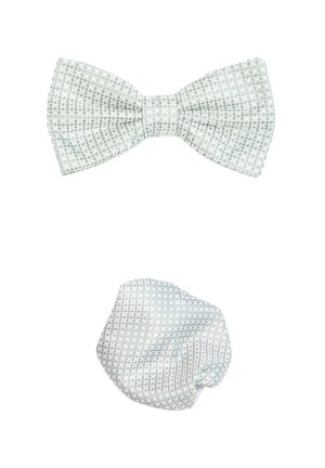 REAL GUYS by J.PLOENES SET - Pocket square - hellgrün